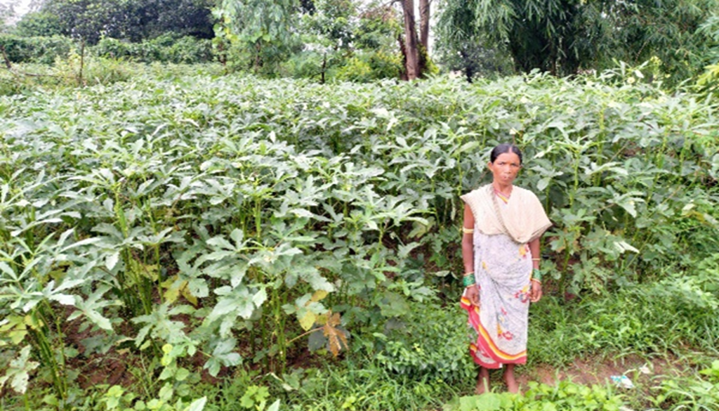 High-Income Generation through Low-Cost Agricultural Input